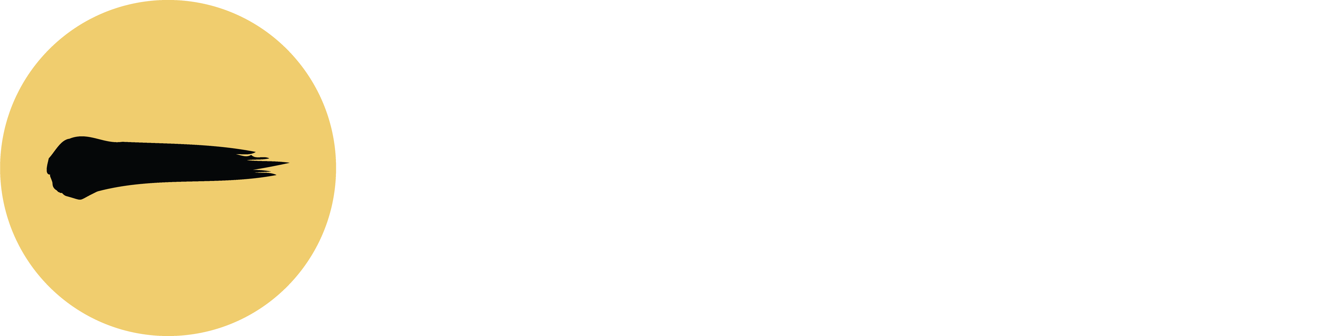 Anbesa Bank